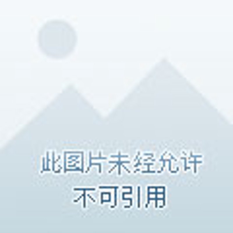轻松管理企业成本:成本核算软件的价值与选择